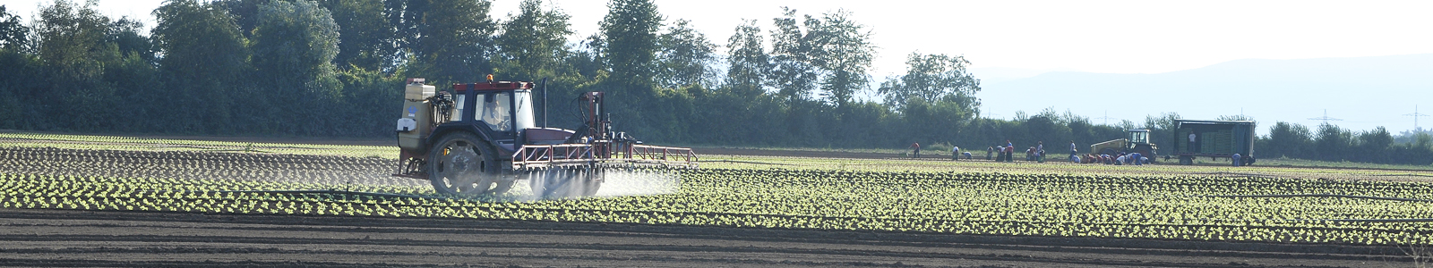 Traktor mit Spritze verteilt Pflanzenschutzmittel auf Gemüseacker @DLR